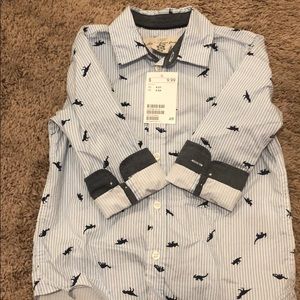 H&M | Boys Dinosaur Button Down